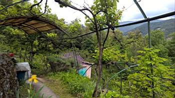 TN_WP_20170514_10_11_08_Pro.JPG