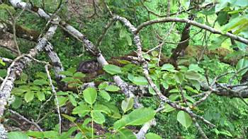 TN_WP_20170514_10_16_27_Pro.JPG