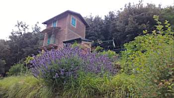 TN_WP_20170514_10_23_40_Pro.JPG