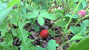 TN_WP_20170514_10_24_42_Pro.JPG