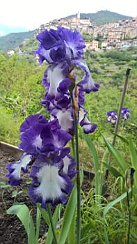 TN_WP_20170514_10_28_24_Pro.JPG