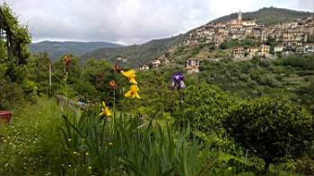 TN_WP_20170514_10_29_23_Pro.JPG