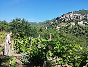 IMG_20260607_094526780.jpg