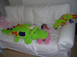 20051202-025.JPG: �߻