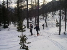 20080127-00.JPG: �s�