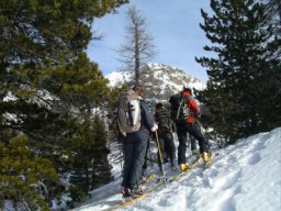 20080127-04.JPG: $%i