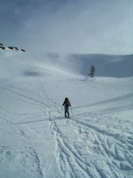 20080127-08.JPG: 20080127