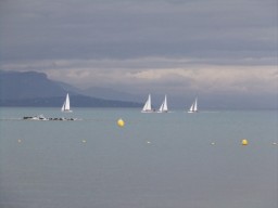 131006_DSCF4611.JPG