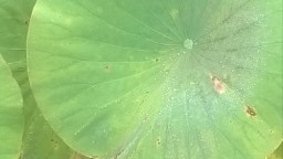 131006_DSCF4657.JPG